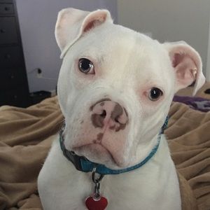 Meet your Posher, Judy